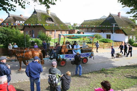 umzug_hafenstrasse